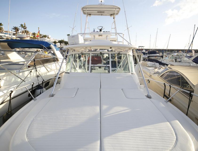 Costa Adeje: Private Yacht Sailing Tour from Puerto Colón - Price and Value: $589 Per Group Up to 8, Who It Makes Sense For