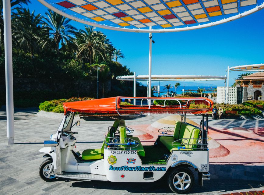 Costa Adeje: Secret Volcano Tuk Tuk Tour - Costa Adeje by Eco-Electric Tuk Tuk, Caldera del Rey in One Hour