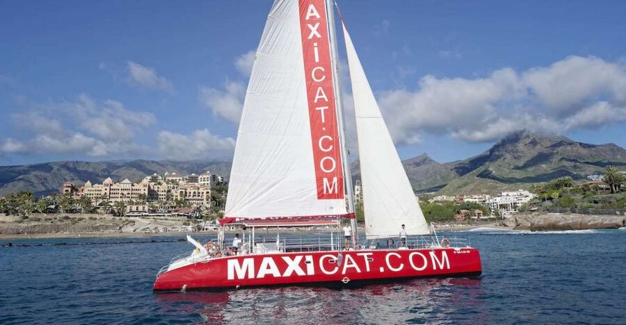 Costa Adeje: Whale and Dolphin Cruise with Food and Pickup - Wildlife Spotting on the Water: How the Crew Helps You Find Whales and Dolphins
