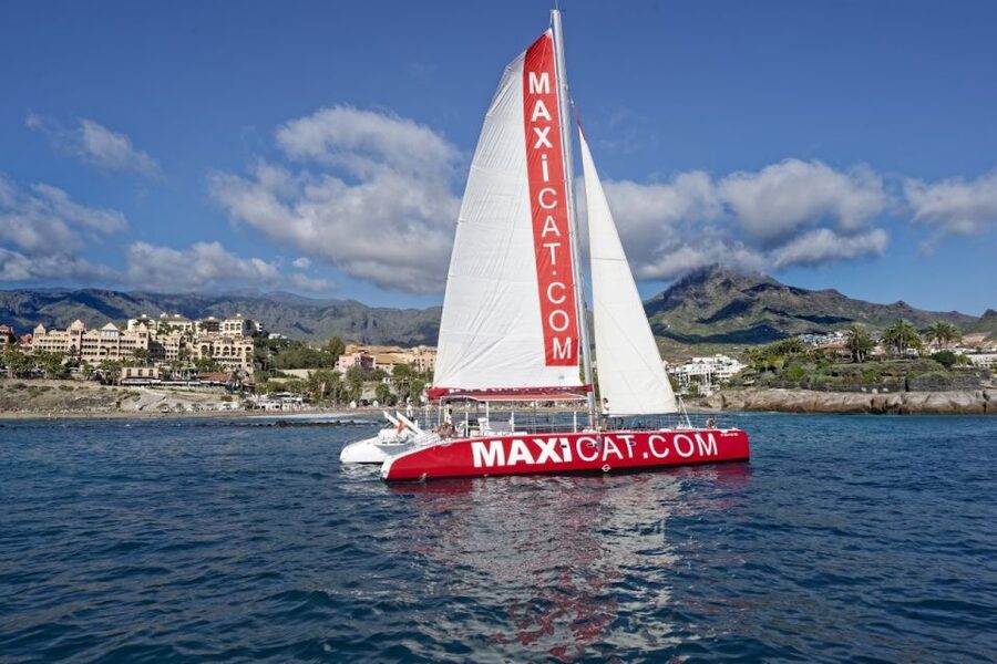 Costa Adeje: Whale and Dolphin Cruise with Food and Pickup - How Long It Really Takes: The 3-Hour Duration and the On-Water Time