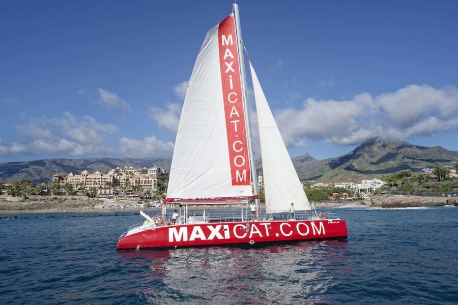 Costa Adeje: Whale and Dolphin Cruise with Food and Pickup - Getting to Puerto Colon: Pickup, Meeting Point, and What to Expect