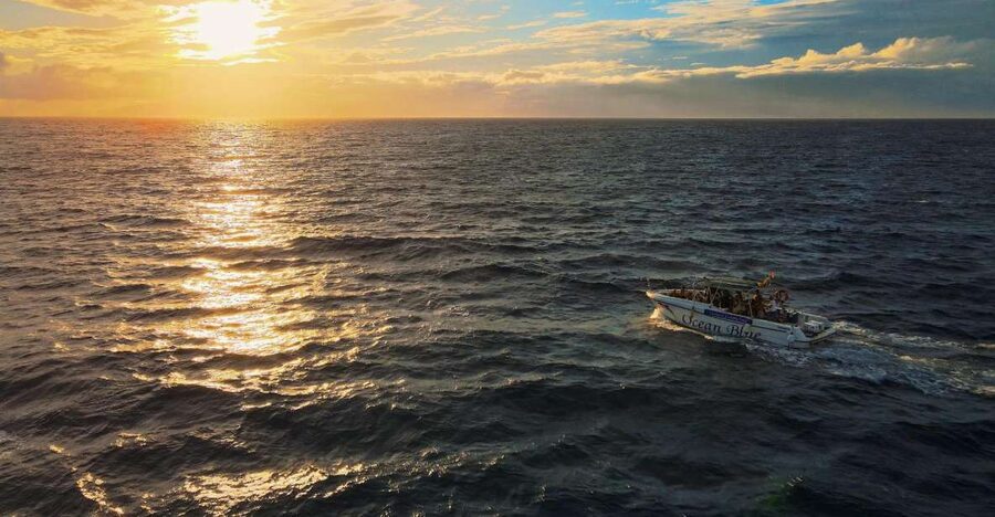 Costa Adeje: Whale and Dolphin-Watching Boat Excursion - From Lina Yacht: why the start point sets the tone