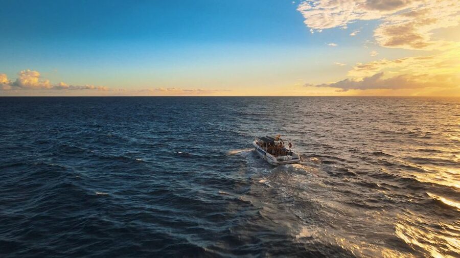 Costa Adeje: Whale and Dolphin-Watching Boat Excursion - The crew style: safety first, engines off when it counts