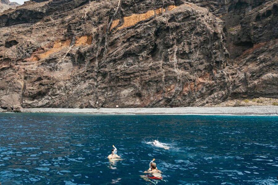 Costa Adeje: Whale & Dolphin Eco-Cruise with Snacks & Drinks - Costa Adeje departure: what the start feels like