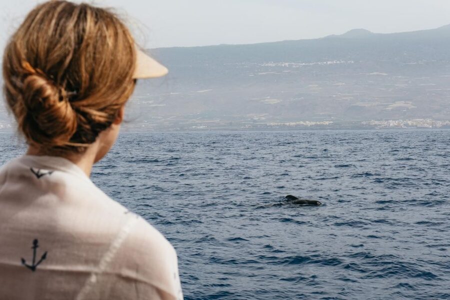 Costa Adeje: Whale & Dolphin Eco-Cruise with Snacks & Drinks - Listening to the ocean: underwater sound tech in real life
