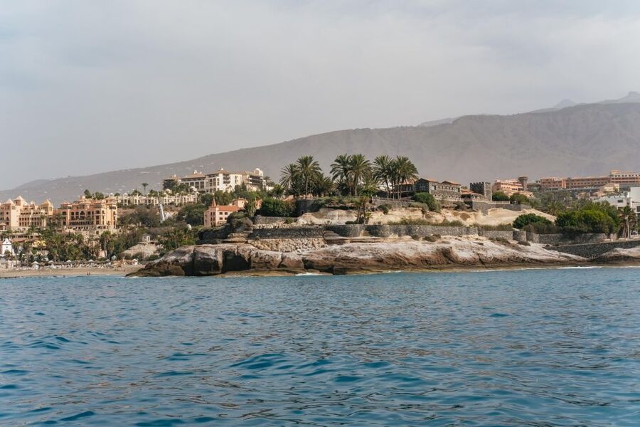Costa Adeje: Whale & Dolphin Eco-Cruise with Snacks & Drinks - Swim and snorkel stop: the “why this tour feels complete” moment