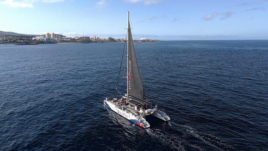 Costa Adeje: Whale & Dolphin Eco-Cruise with Snacks & Drinks - 3-hour vs 5-hour options: what you actually gain