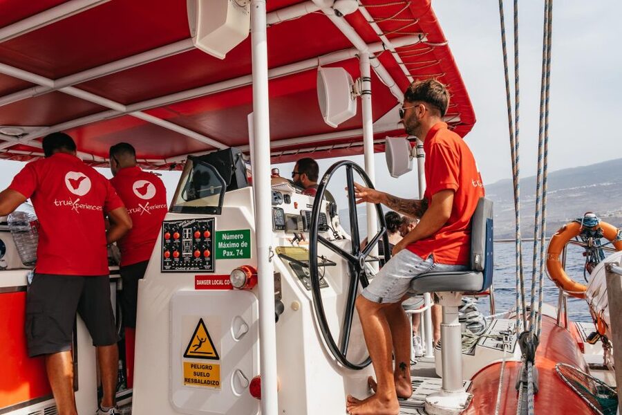 Costa Adeje: Whale & Dolphin Eco-Cruise with Snacks & Drinks - What to pack, what to skip, and how to avoid a rough ride ruin