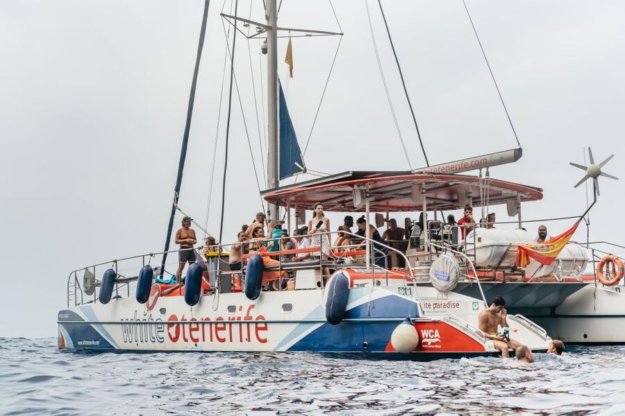Costa Adeje: Whale & Dolphin Eco-Cruise with Snacks & Drinks - Teno-Rasca Whale Sanctuary: how the viewing works
