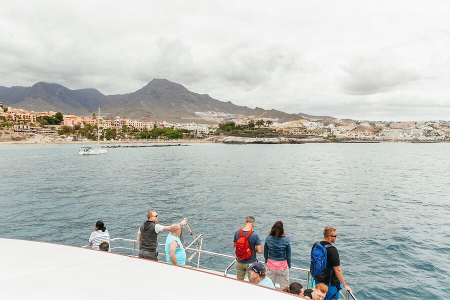 Costa Adeje: Whale & Dolphin Submarine Vision Mini Cruise - How the 2-Hour Flow Works, From Dock 12 to the Photo Stop