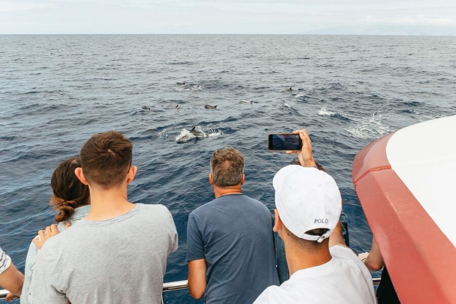 Costa Adeje: Whale & Dolphin Submarine Vision Mini Cruise - Underwater Viewing Reality Check: When the Sea Is Right, and When It Is Not