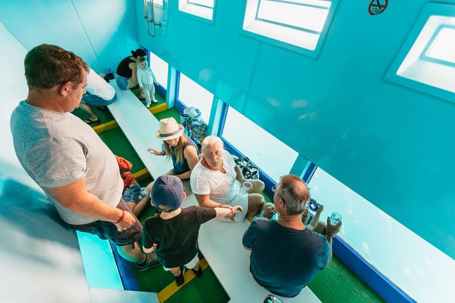 Costa Adeje: Whale & Dolphin Submarine Vision Mini Cruise - Guides, Languages, and How the Learning Actually Helps