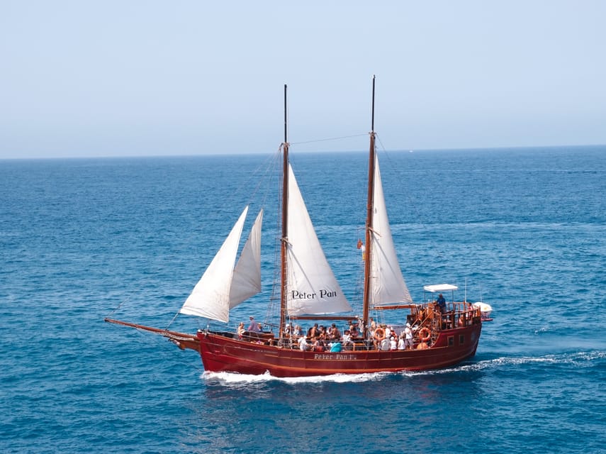 Costa Adeje: Whale & Dolphin Watching Cruise with Swim - Key points to know before you go