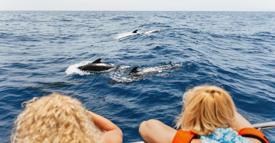 Costa Adeje: Whale Watching Catamaran Tour with Drinks - Key things you will notice on the water