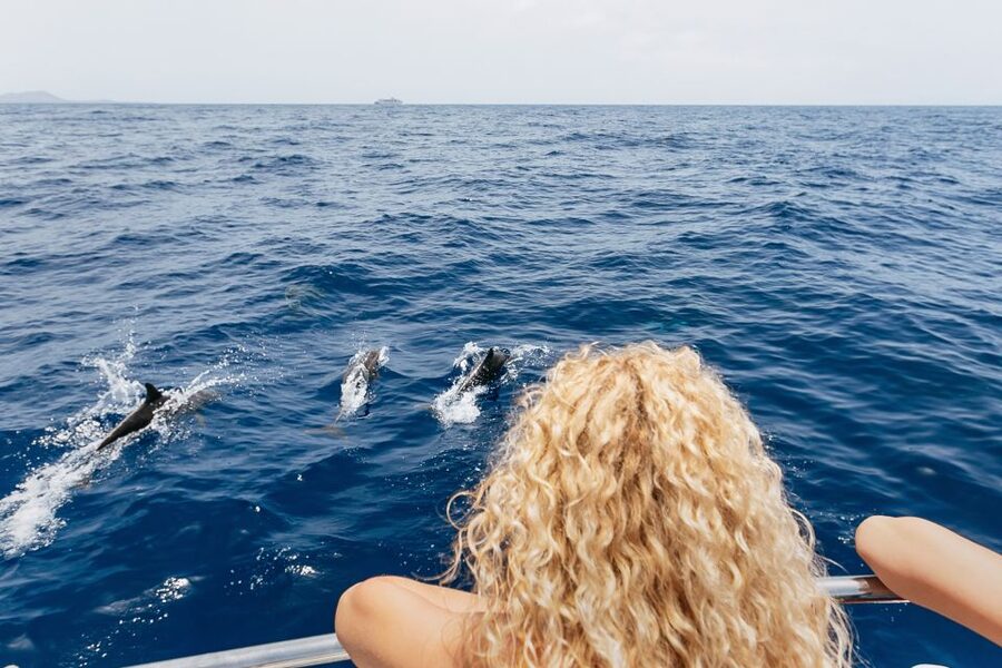 Costa Adeje: Whale Watching Catamaran Tour with Drinks - Sailing the southwest coast: fish farms, squid facts, and photo moments