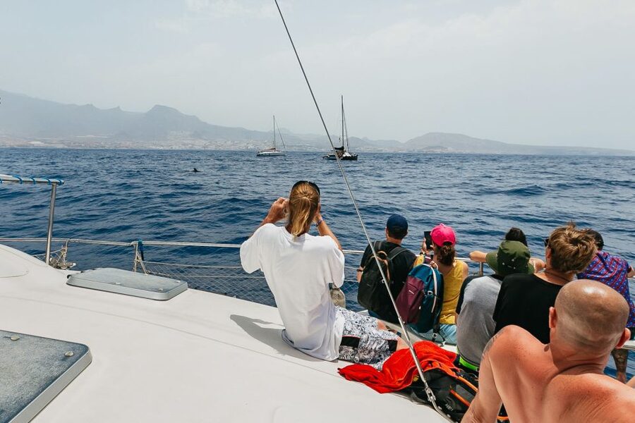 Costa Adeje: Whale Watching Catamaran Tour with Drinks - The 3-hour option: snorkeling at Playa Espagueti (short and weather-dependent)
