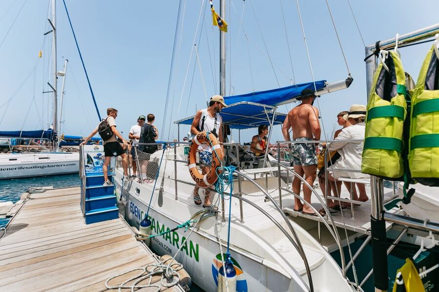 Costa Adeje: Whale Watching Catamaran Tour with Drinks - Price and value: why $41 per person makes sense