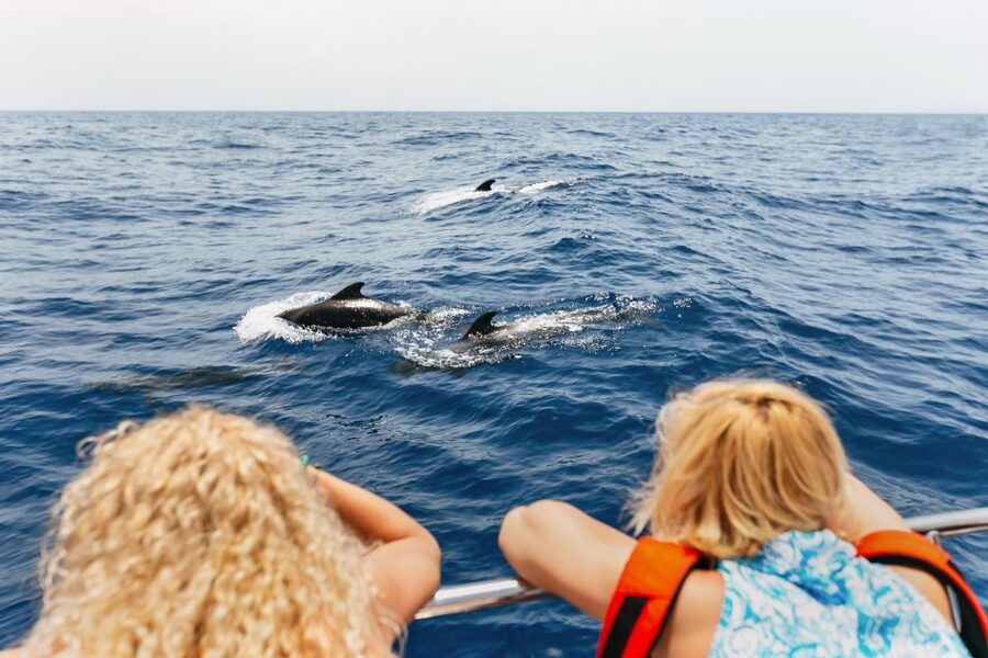 Costa Adeje: Whale Watching Catamaran Tour with Drinks - Catamaran comfort, drinks, and the on-board vibe