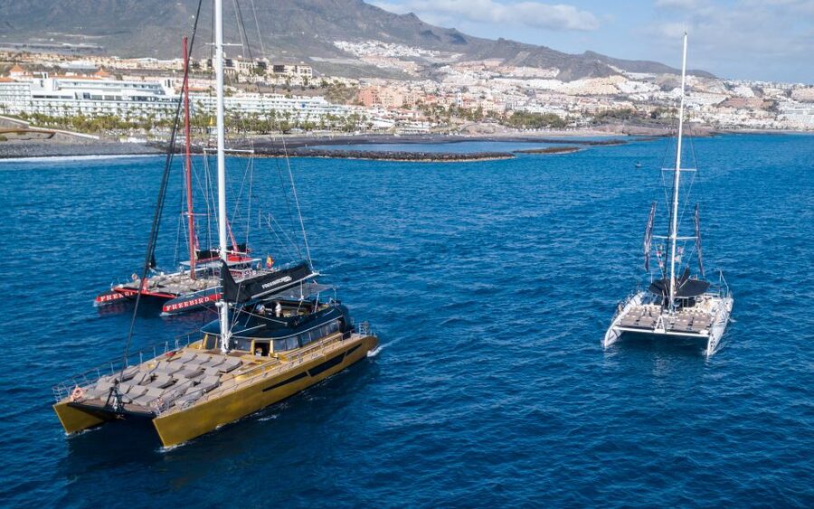 Costa Adeje: Whale Watching Cruise - Getting Oriented in Costa Adeje, Puerto Colón, and the Freebird Catamaran