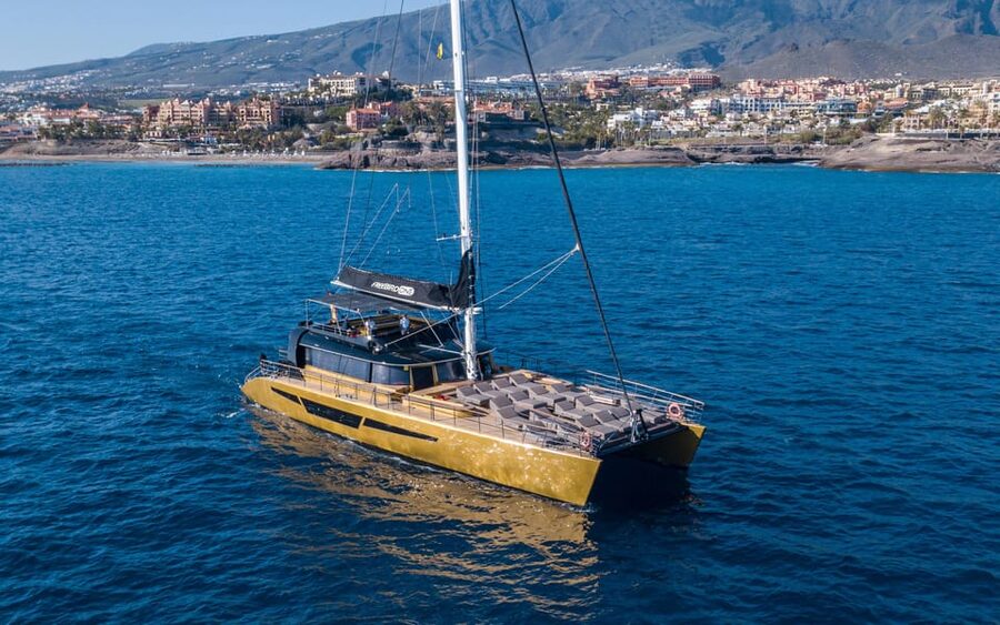 Costa Adeje: Whale Watching Cruise - Sailing Out: The Photo Breaks and the Coastline Views