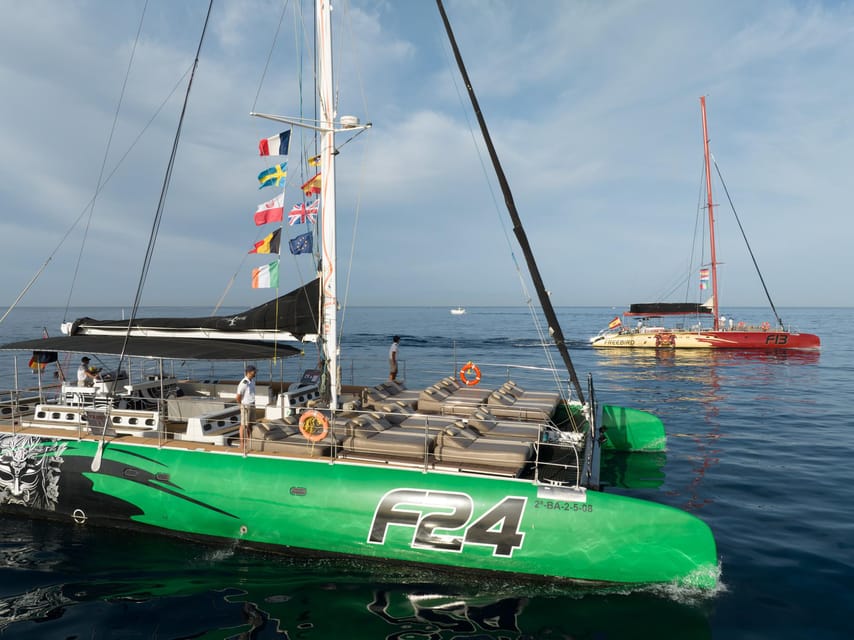 Costa Adeje: Whale Watching Cruise - The Swim Stop in a Calm Bay