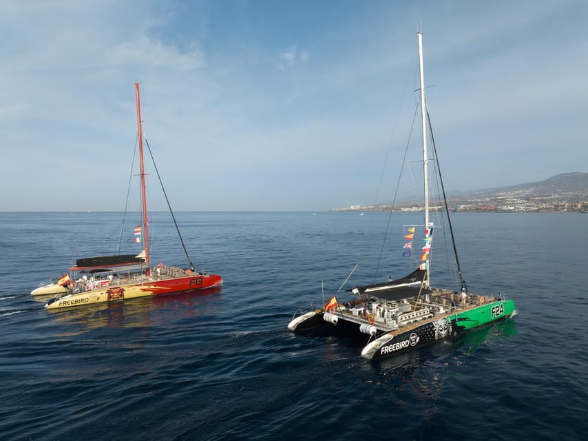 Costa Adeje: Whale Watching Cruise - Drinks and Snack: Simple, Included, and Not a Full Meal