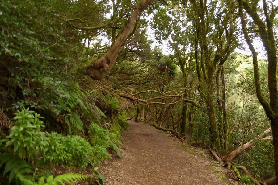 Cruz del Carmen: Hiking in Anaga with Local Food Products - Key points worth your attention