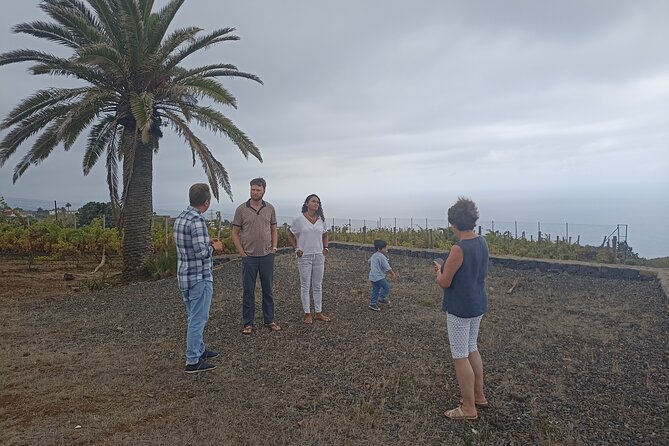 Custom Private Tenerife Full Island VIP Tour - photos included - Arico el Nuevo, a rural village stop that feels human