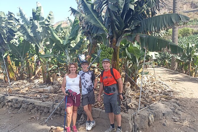 Custom Private Tenerife Full Island VIP Tour - photos included - Anaga Rural Park, laurel forest quiet with a forest break