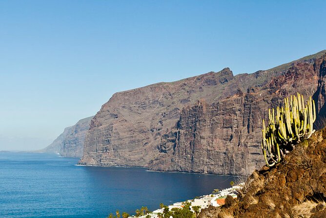 Day Tour with Official Guide Around the Island of Tenerife - Getting Picked Up: Helpful Pickup, But Know the Timing Reality