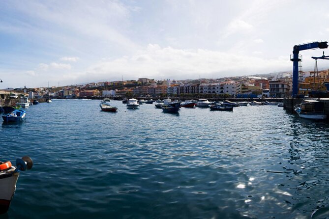 Day Tour with Official Guide Around the Island of Tenerife - Tenerife Back to Your Hotel: The Long-Day Ending