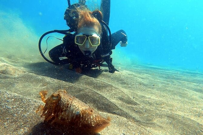 Discover beginner diving in Tenerife - The medical form requirement: your checklist before you book