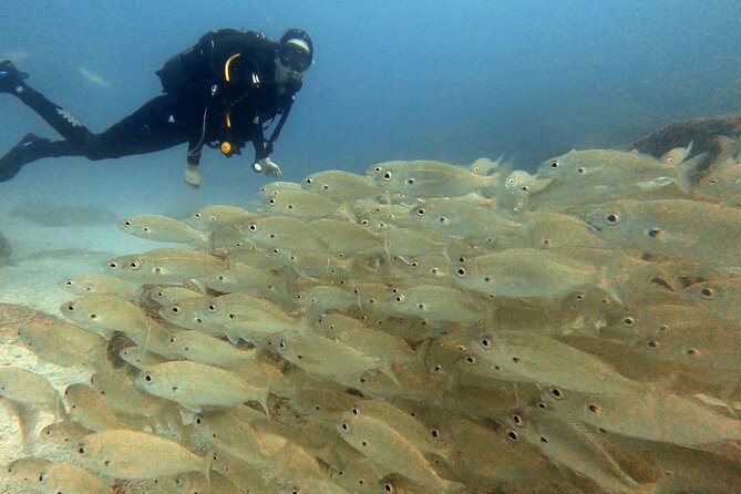 Discover beginner diving in Tenerife - Flight timing: plan at least 12 hours between your session and takeoff