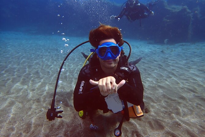 Discover beginner diving in Tenerife - What you learn with a PADI instructor, and why the 11-meter cap matters