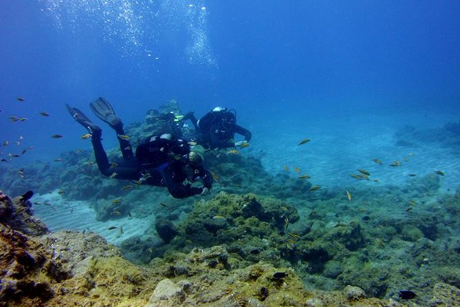 Discover Scuba Diving Adventure in Tenerife - Key things you’ll remember