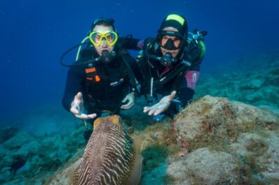 Discover Scuba Diving by boat, Puerto Colon