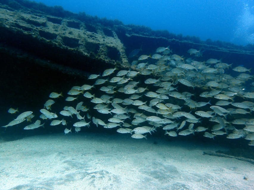Discover Scuba Diving Experience - Should You Book This Discover Scuba Experience in Tenerife?