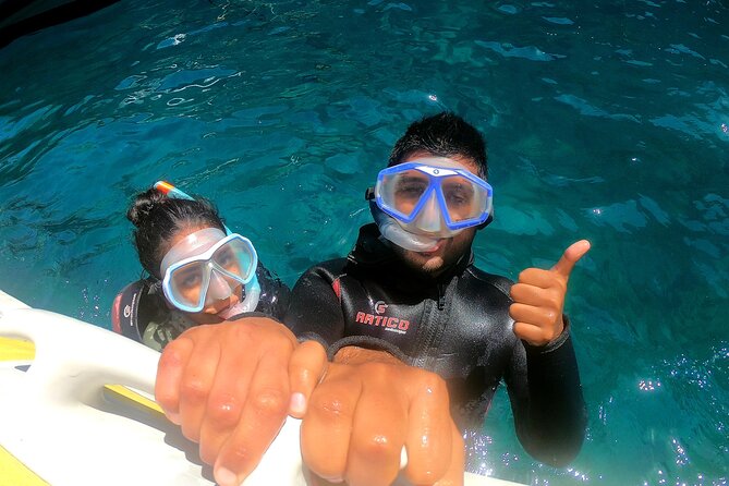 Discover Scuba Diving Experience in Turtle Habitat - Meeting in Costa Adeje and Getting Your Bearings