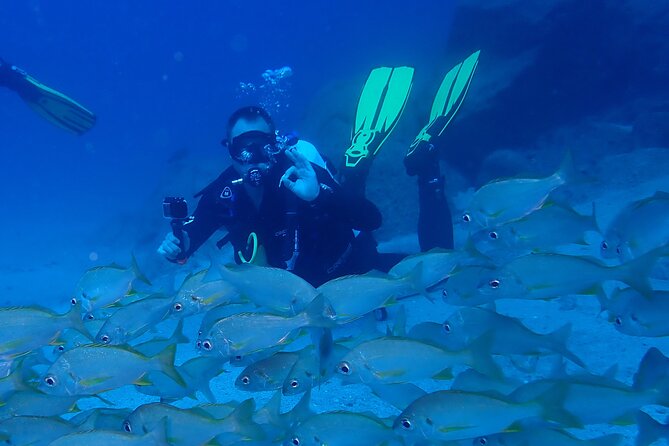 Discover Scuba Diving . First Experience underwater - The Underwater Session Itself: Instructor Support Plus Marine Life