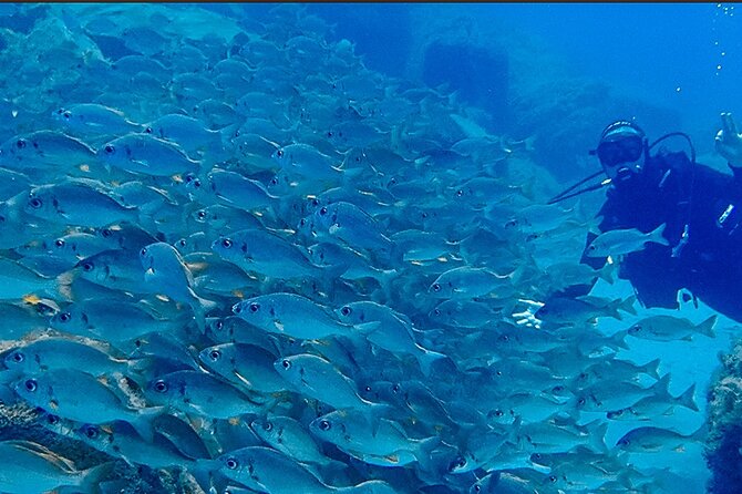 Discover Scuba Diving . First Experience underwater - How the Timing and Group Size Really Feel