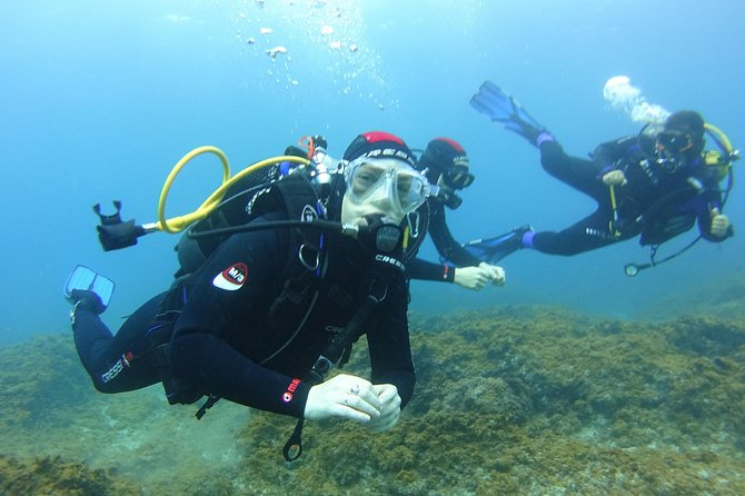 Discover Scuba Diving, free pictures included - Getting to the meeting point and keeping your day easy
