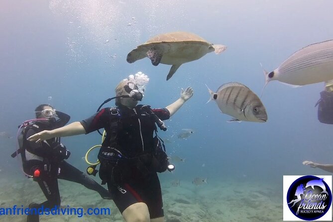 Discover Scuba Diving, free pictures included - Why the instructor attention is the real value