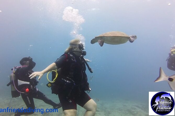 Discover Scuba Diving, free pictures included - Photos included, and how to think about video add-ons