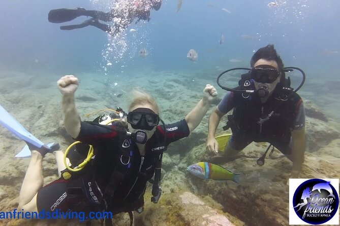 Discover Scuba Diving, free pictures included - What you will see underwater in this Tenerife session