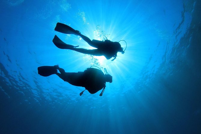 Discover Scuba Diving in Tenerife - Calle 10 de Agosto meetup: what to expect before the water
