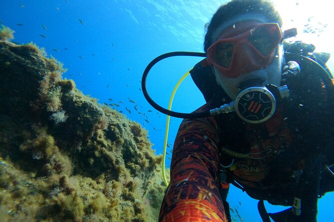 Discover Scuba Diving in Tenerife - What’s included: gear, insurance, and the stuff that saves you money