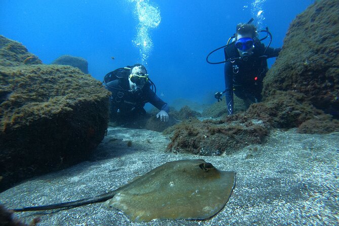 Discover Scuba Diving in Tenerife - Weather, timing, and the no-fly rule you must respect