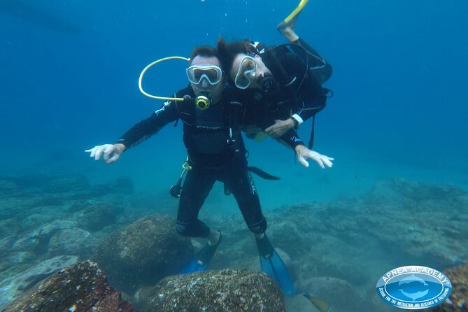 Discover Scuba Diving in Tenerife - The 35-minute briefing that keeps first-timers from panicking