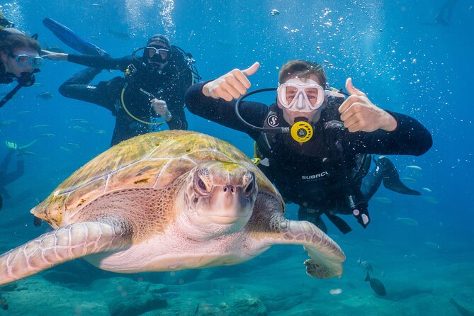 Discover Scuba Diving program: shore + boat dives - Key things to know before you go