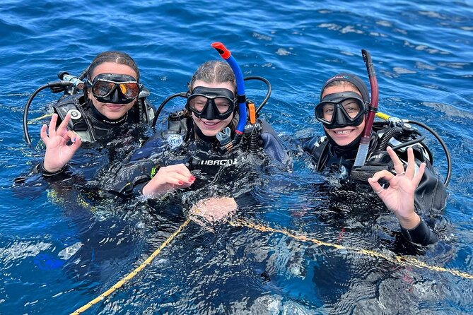 Discover Scuba Diving - Try it for the first time! - Key Highlights Worth Your Attention